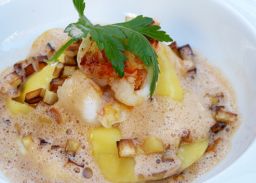 Scampi Raviolo Pastinaken