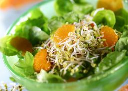 Salat Sprossen