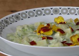 Teller mit Lauch-Ragout