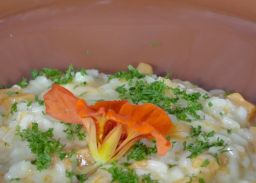 Kürbis-Risotto