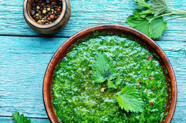 Schale mit Brennnesselmus (Foto: 123RF/M.Lunov) Brennnesselmus