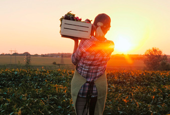 Bio Landwirtschaft