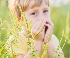 Leichtes Spiel für Allergene