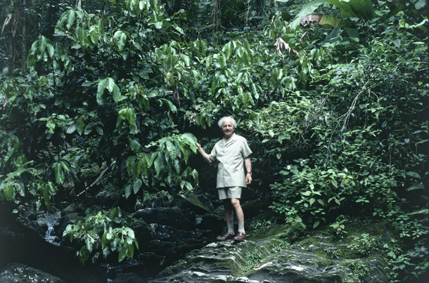 Alfred Vogel im Urwald Alfred Vogel im Urwald