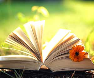 Buch (Fotolia_119319814)