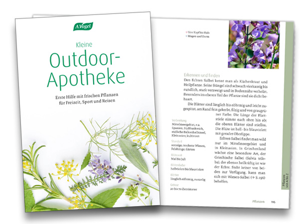 Buchcover der Kleinen Outdoor-Apotheke mit einer Inhaltseite.