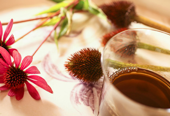 Kamille-Sesamöl hilft bei Migräne (Foto: 123RF/O. Rudo) Kamille-Sesamöl Migräne