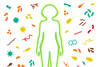 Immunsystem