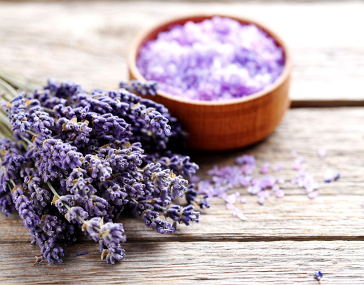 Lavendel