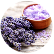 Lavendel