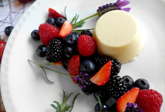 Rezept Lavendel-Pannacotta 
