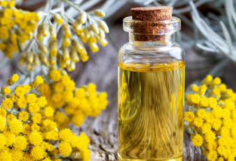 Immortelle Öl