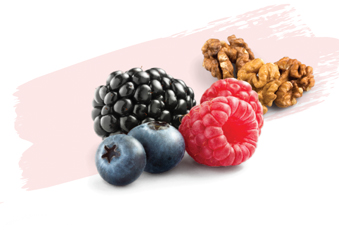 Beeren und Nüsse