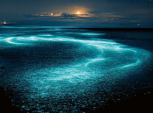 Biolumineszenz: Geheimes Leuchten (Foto: 123RF/aquir) Meer mit Dinoflagellatten