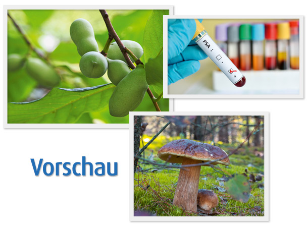 Vorschau Gesundheits-Nachrichten, Dezember 2023 Vorschaubilder