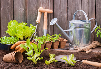 Gärtnern ohne Plastik, das geht (Foto: 123RF/alexraths) Verschiedene Garten-Geräte