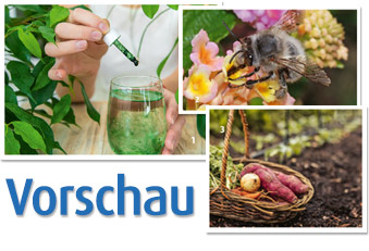Vorschau nächste Ausgabe Vorschau