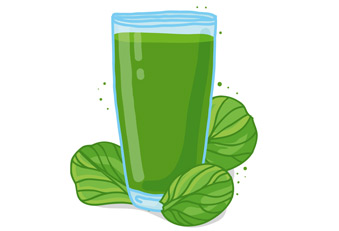 Welche Flüssigkeit passt zum Spinat-Smoothie? (Foto: 123RF/uniyok) Spinat Smoothie