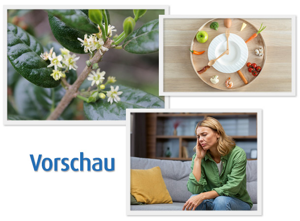 Vorschau März-Ausgabe 2024 Vorschau März-Ausgabe 2024
