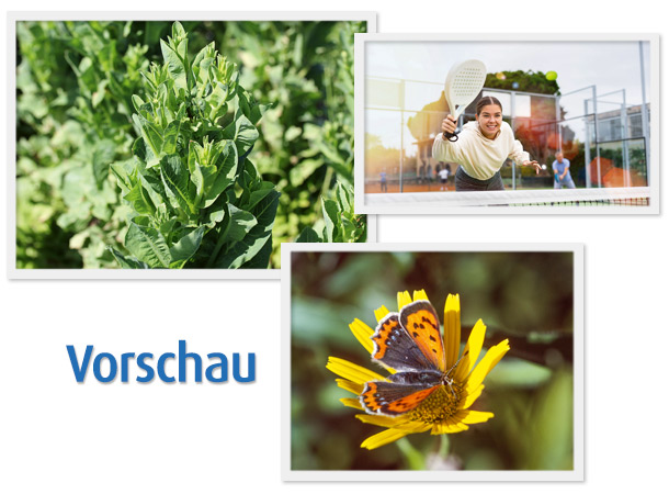 Vorschau April-Ausgabe 2024 Vorschau April-Ausgabe 2024