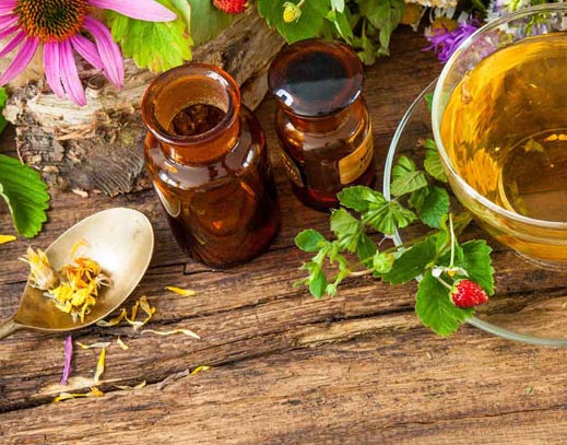 Phytotherapie/Pflanzenheilkunde