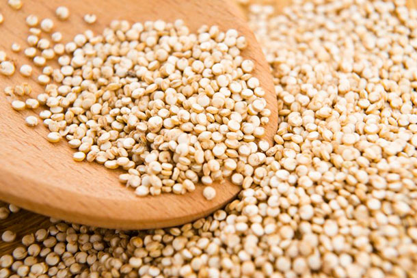 Vegan, vegetarische Proteinquellen