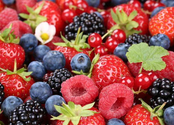 baies sucrées (photo : 123RF/M. Mainka) baies sucrées