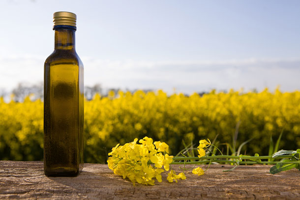 Rapsölflasche vor Rapsfeld
