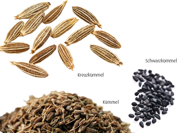 Kümmel, Kreuzkümmel und Schwarzkümmel