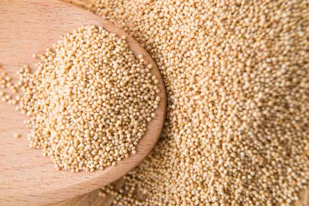 Amaranth (Foto: 123rf/joannawnuk) Amaranth