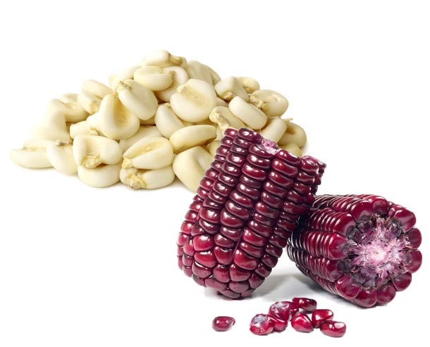 Choclo- und Purpurmais (Foto: 123RF) Choclo- und Purpurmais