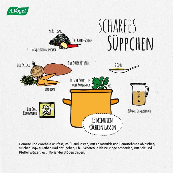 Suppe Anleitung Infografik