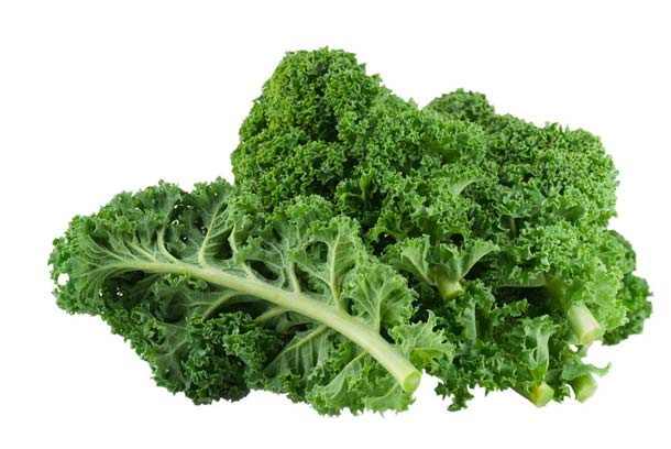 Grünkohl Federkohl