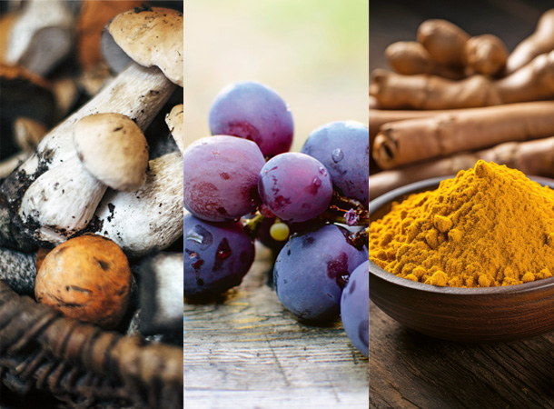 Naturstoffe aus Pilzen, Trauben und Kurkuma Pilze, Trauben und Kurkuma