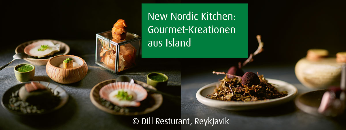 Nordic Kitchen