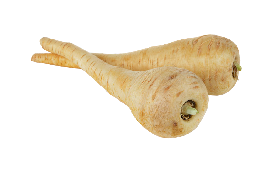 Pastinaken