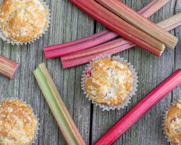 Rhabarber Muffins