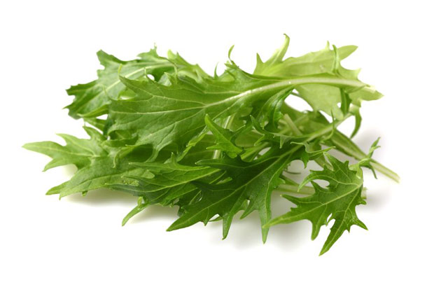 Rucola (Foto: 123RF/dionisvera) Rucola