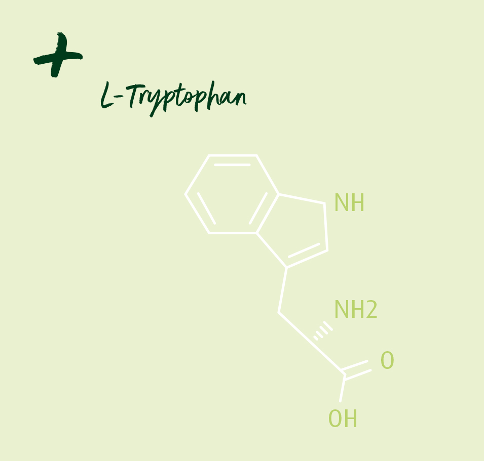 Tryptophan Tryptophan chemische Formel