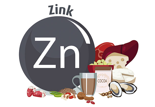 A.Vogel: Spurenelement Zink (Illustration: 123RF, O. Sadovnikova) Die Illustration zeigt Lebensmittel die Zink enthalten. Als gute Zink-Quellen gelten Produkte tierischen Ursprungs, zum Beispiel Austern, Eier und Fleisch. Auch pflanzliche Nahrungsmittel wie Linsen, Erd- und Paranüsse, Kürbiskerne, Weizenkeime und Haferflocken enthalten viel Zink.