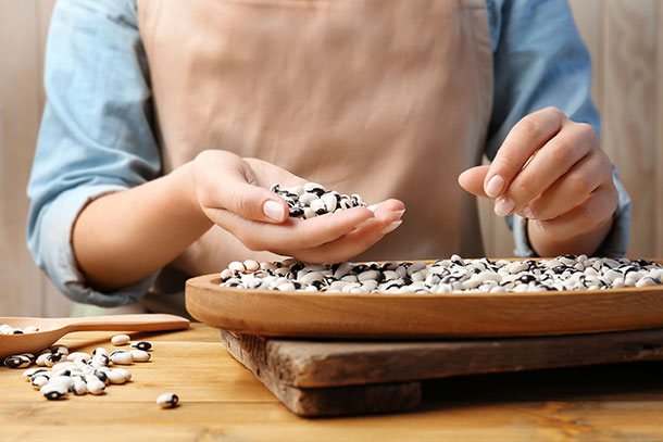 Vegan, vegetarische Proteinquellen