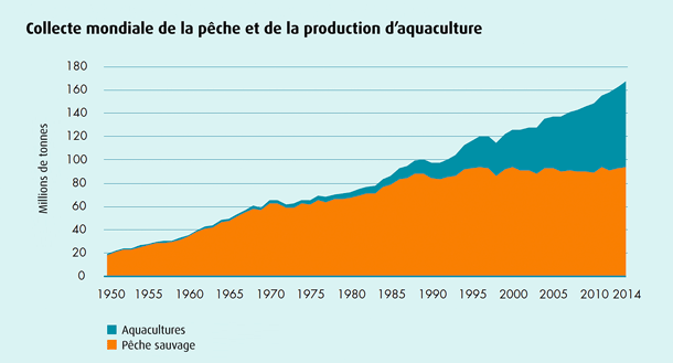 Collecte mondiale de la pêche et de la production d’aquaculture Collecte mondiale de la pêche et de la production d’aquaculture