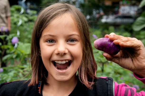 Bereits Kinder lernen, was gesunden, nachhaltigen Konsum ausmacht. (Foto: Gemüse Acherdemie, Katharina Kühnel) Ein Mädchen zeigt fröhlich eine frisch geerntete blaue Kartoffel in die Kamera.