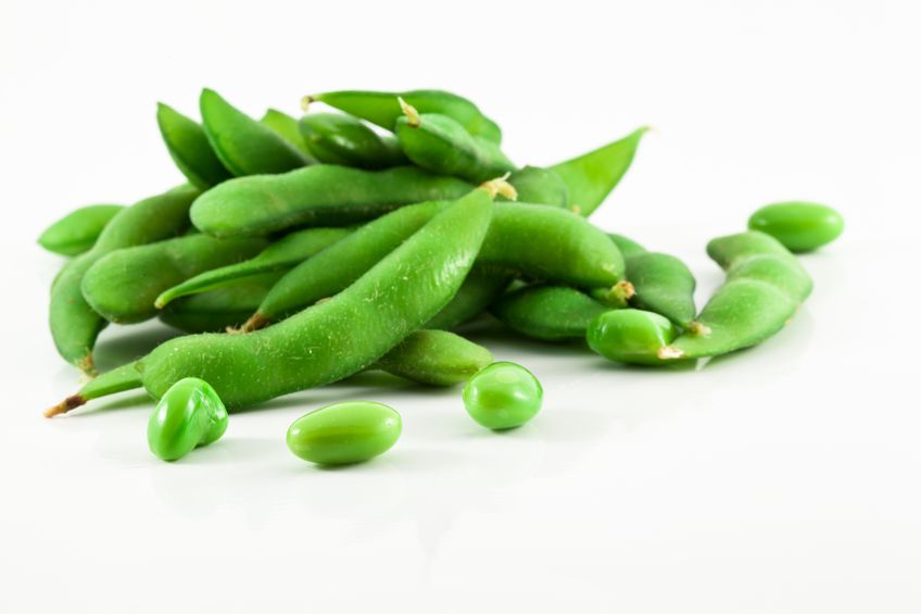 Grüne Sojabohnen Gesunde Ernährung mit Sojaprodukten: Sojabohnen, Sojakeimen, Tofu (Photo: 123RF, Adirek Kata)