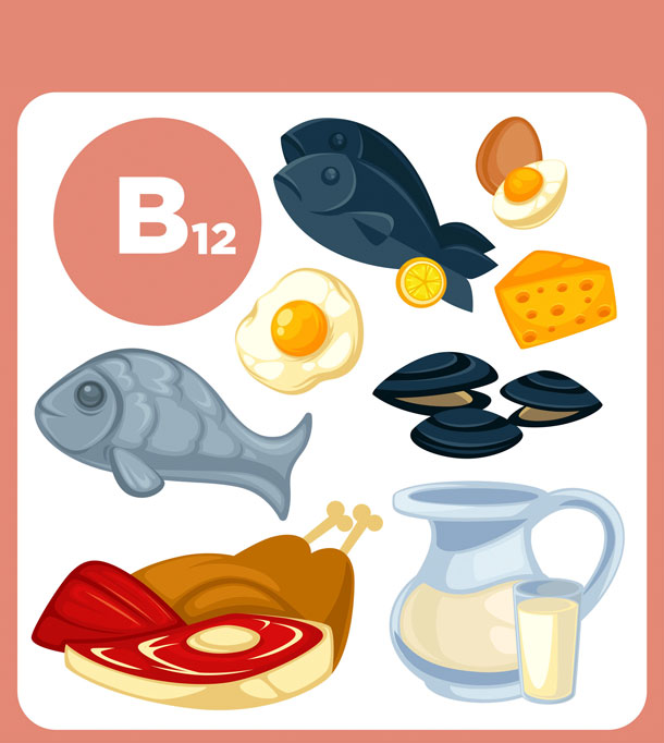 Vitamin B12, Nahrungsmittel (Illustration: 123RF, S. Vlasiuk) Vitamin B12 finden sich in Innereien von Kalb, Rind, Schwein und Lamm. Seefisch enthält auch das Vitamin B12.