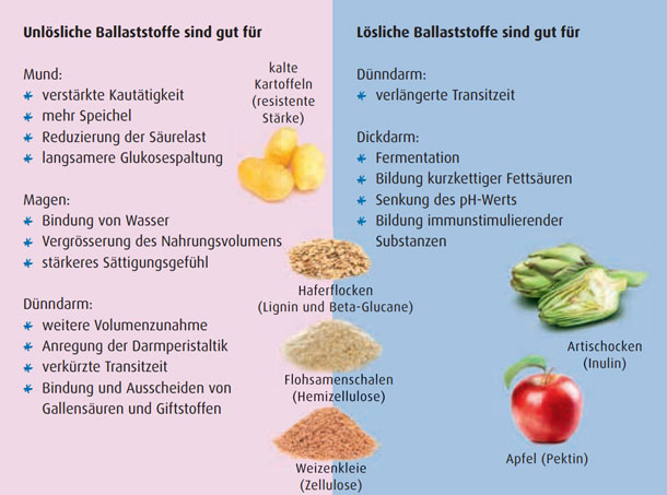 Unlösliche und lösliche Balaststoffe (Infografik) Wozu sind lösliche und wozu unlösliche Ballaststoffe gut?