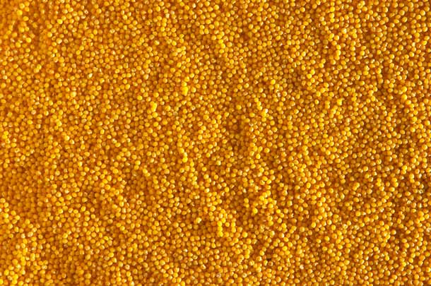 Hirse-Körner (Foto: Fotolia) Hirse Körner