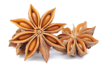 Sternanis (Foto: Fotolia) Sternanis