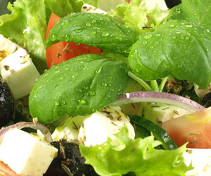 Anti-cholesterol feed Anti-cholesterol feed