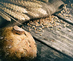 Vollkornbrot Vollkornbrot